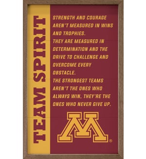 Team Spirit University Of Minnesota